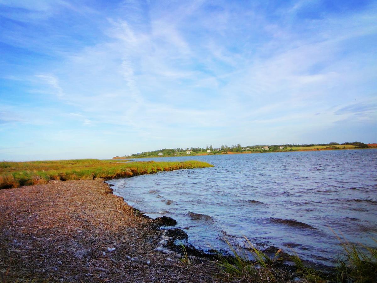 Blue Crest Cottages Норт Рустико Екстериор снимка