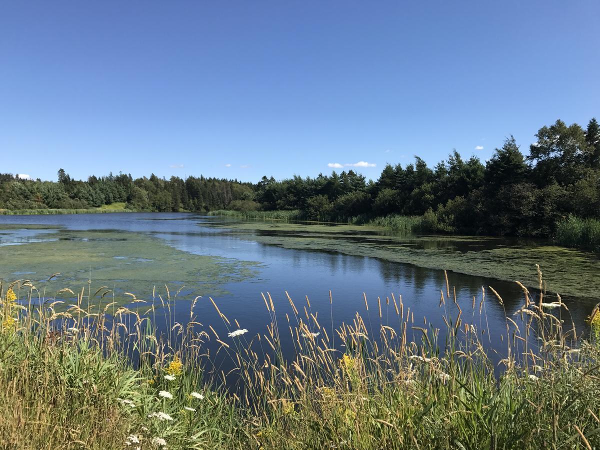 Blue Crest Cottages Норт Рустико Екстериор снимка