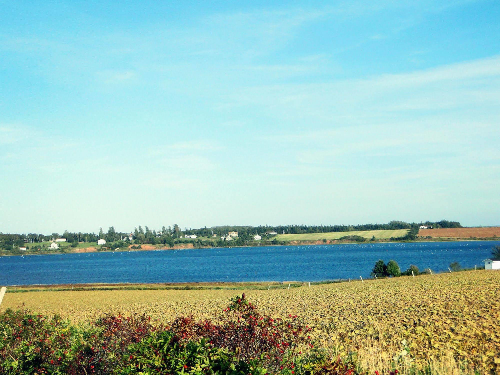Blue Crest Cottages Норт Рустико Екстериор снимка