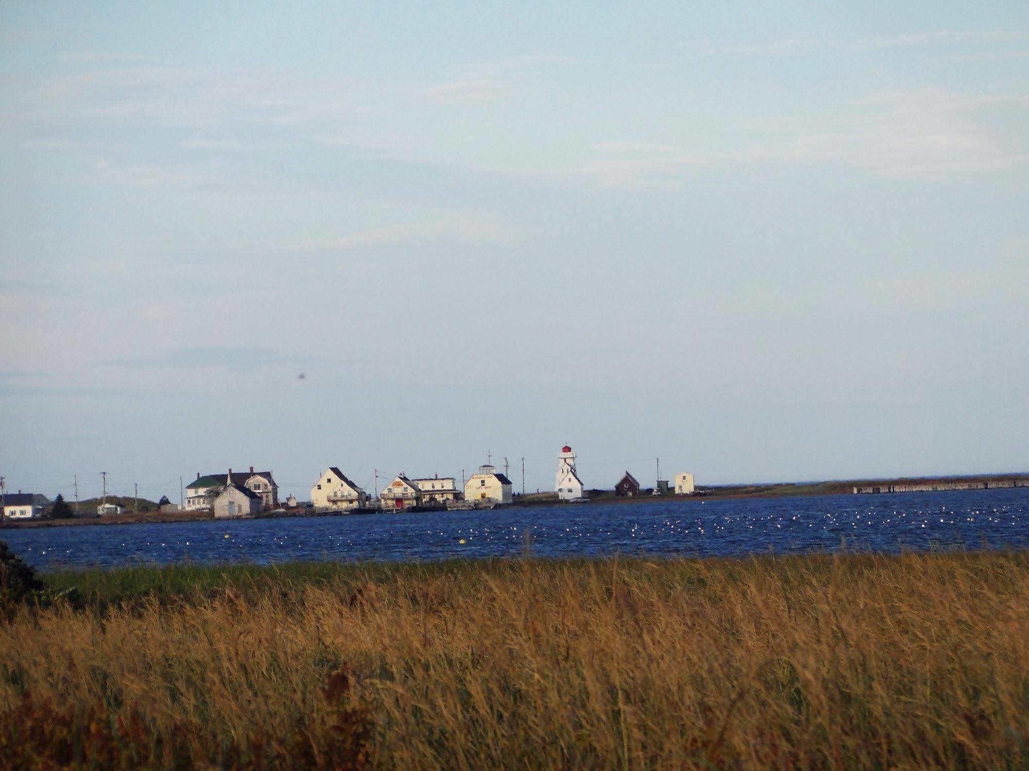 Blue Crest Cottages Норт Рустико Екстериор снимка
